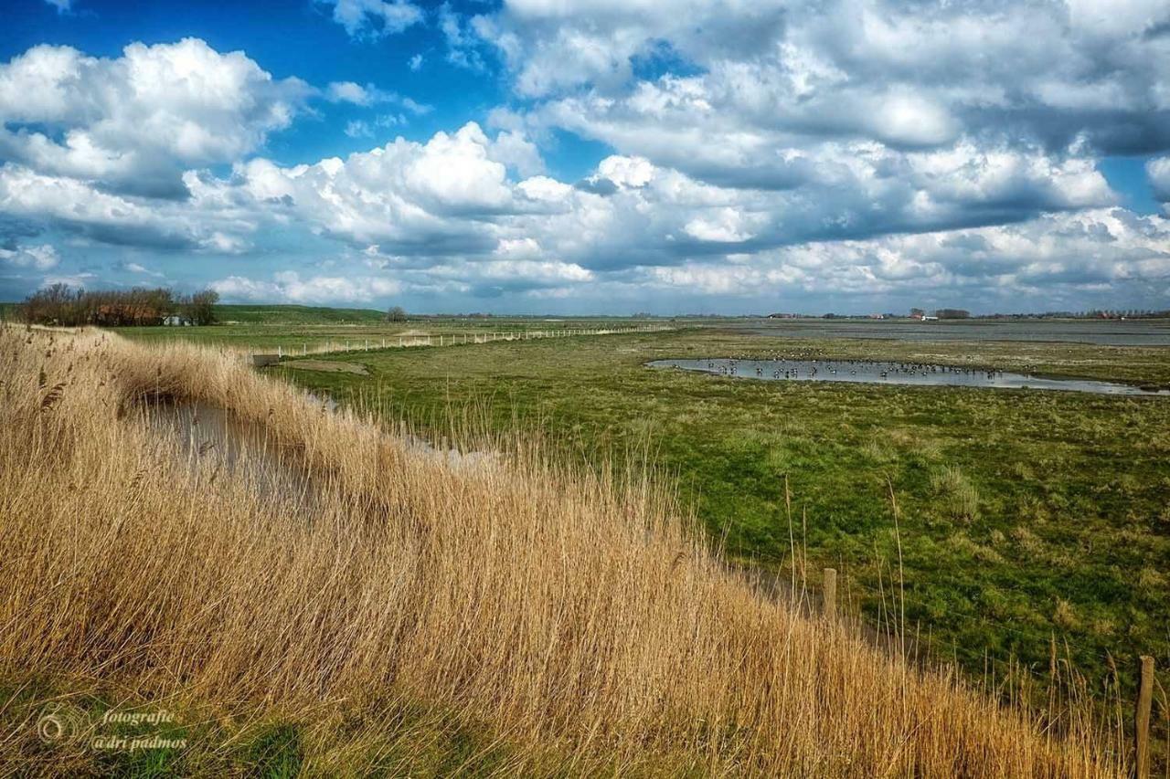 Vakantiehuis Hogezoom 131 Renesse